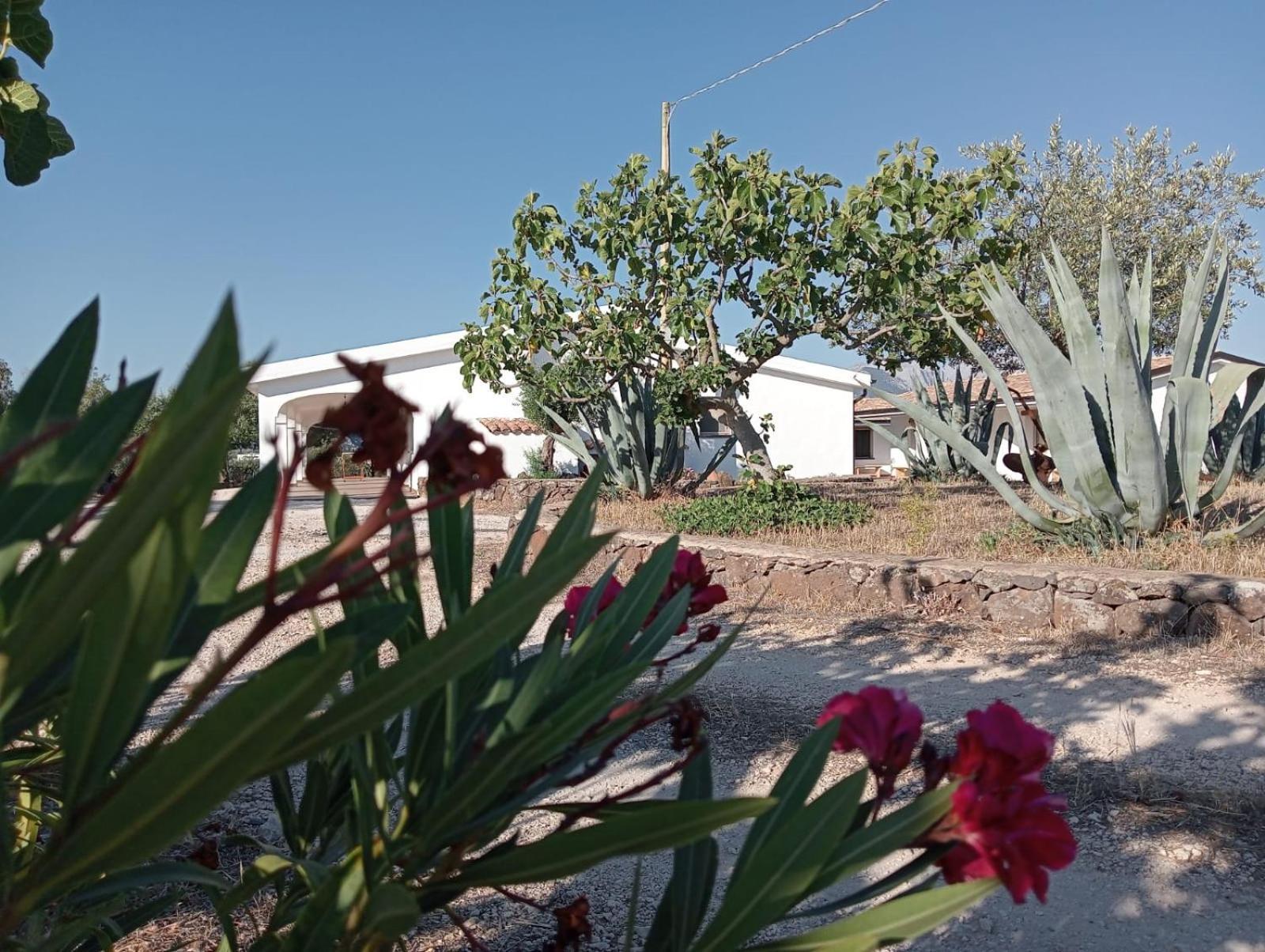 Agriturismo Sa Murta Dorgali Dış mekan fotoğraf