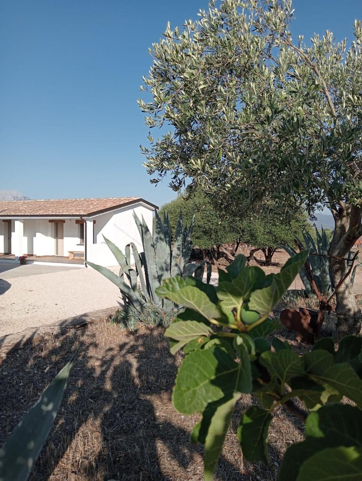 Agriturismo Sa Murta Dorgali Dış mekan fotoğraf