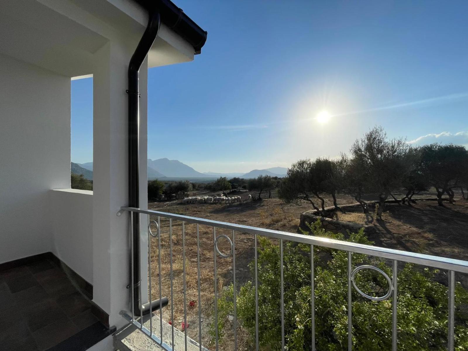Agriturismo Sa Murta Dorgali Dış mekan fotoğraf