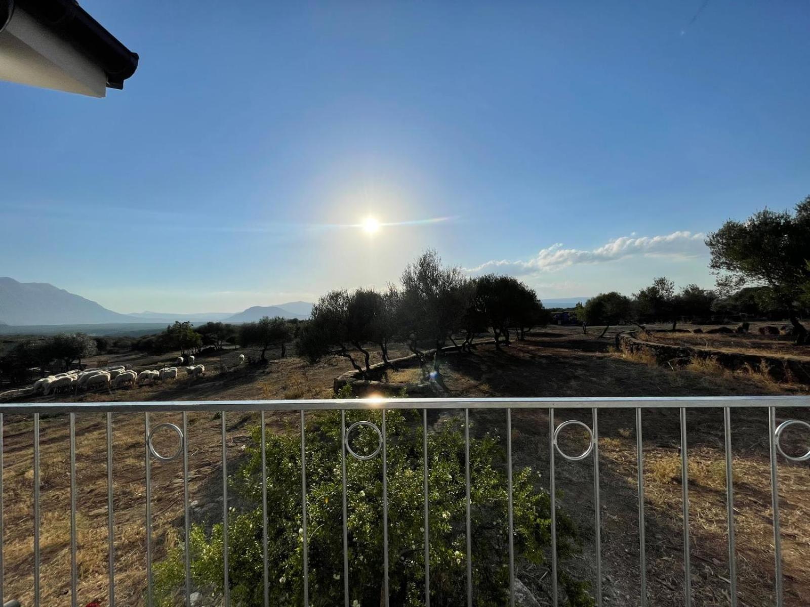 Agriturismo Sa Murta Dorgali Dış mekan fotoğraf