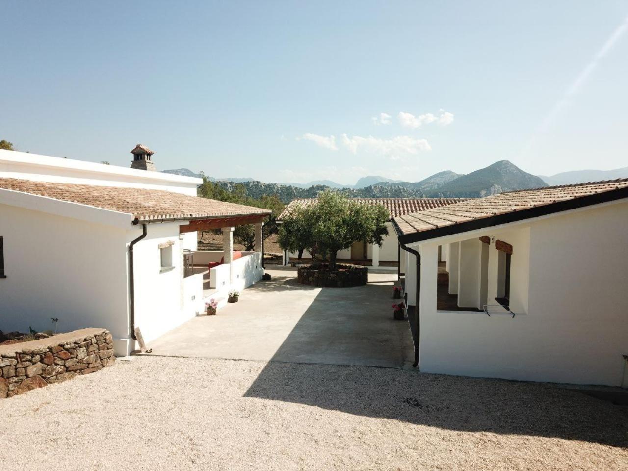 Agriturismo Sa Murta Dorgali Dış mekan fotoğraf