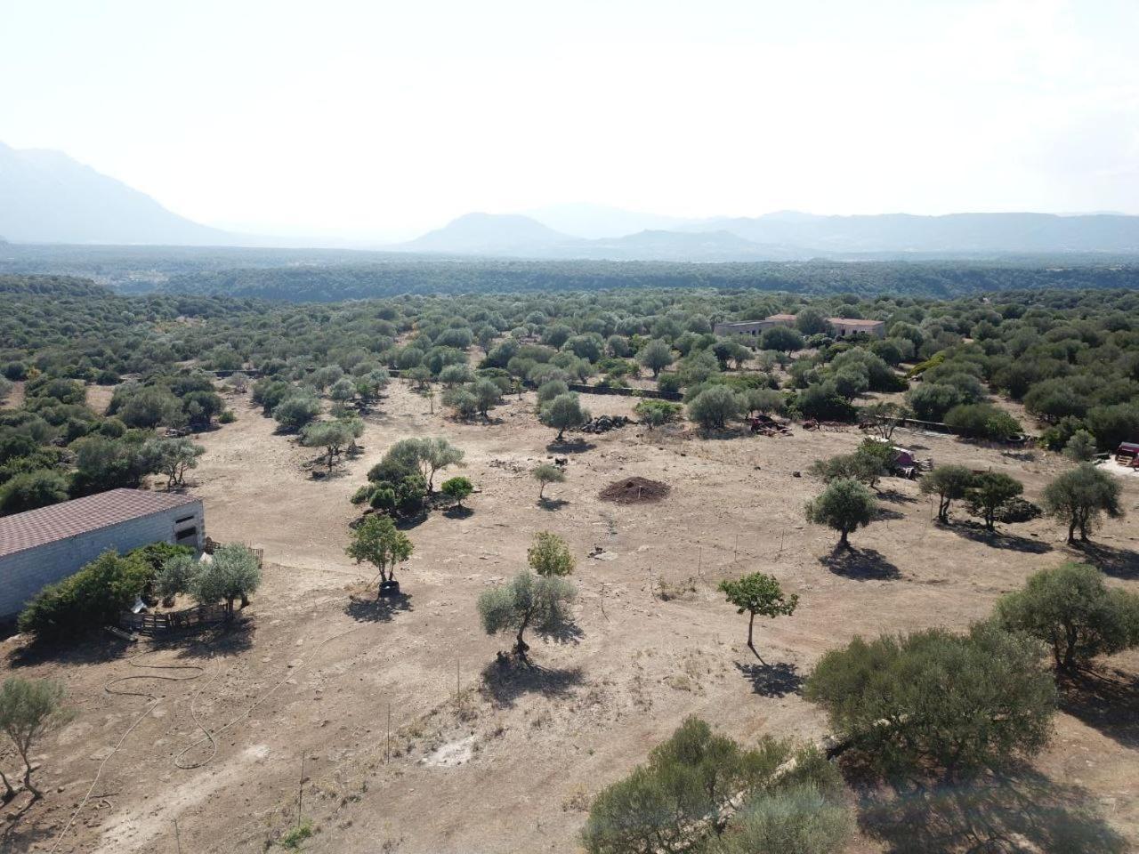 Agriturismo Sa Murta Dorgali Dış mekan fotoğraf