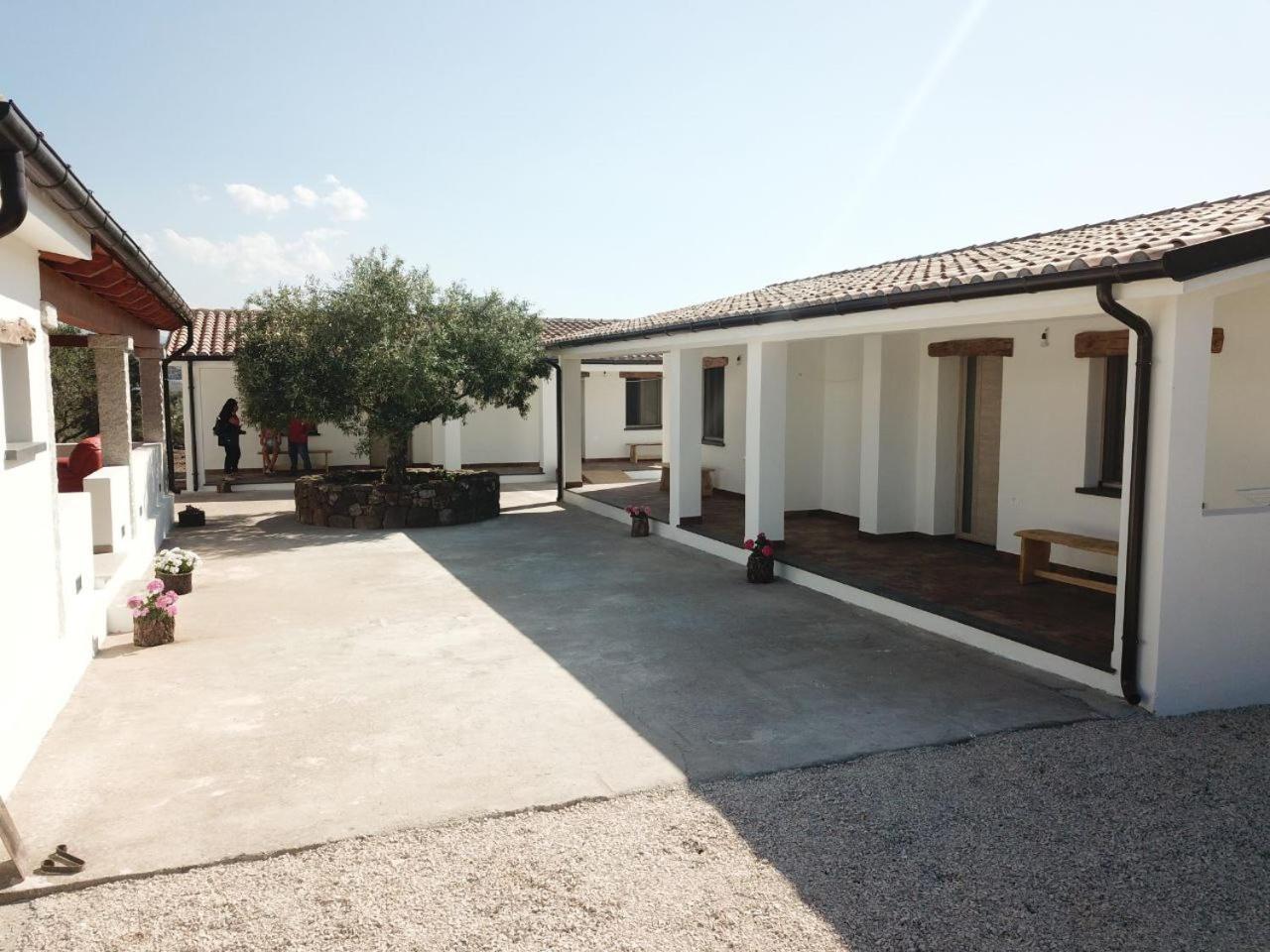 Agriturismo Sa Murta Dorgali Dış mekan fotoğraf