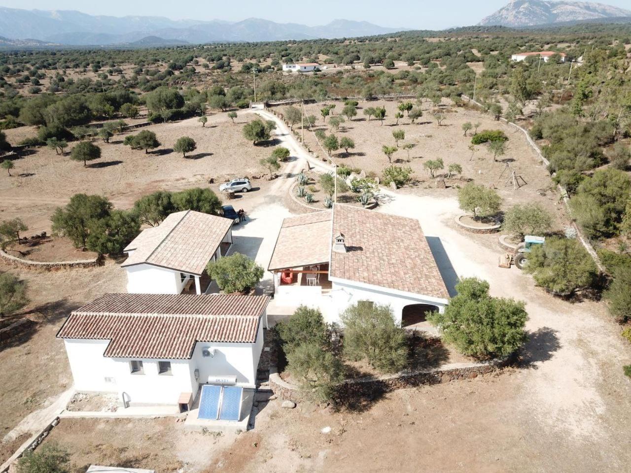 Agriturismo Sa Murta Dorgali Dış mekan fotoğraf