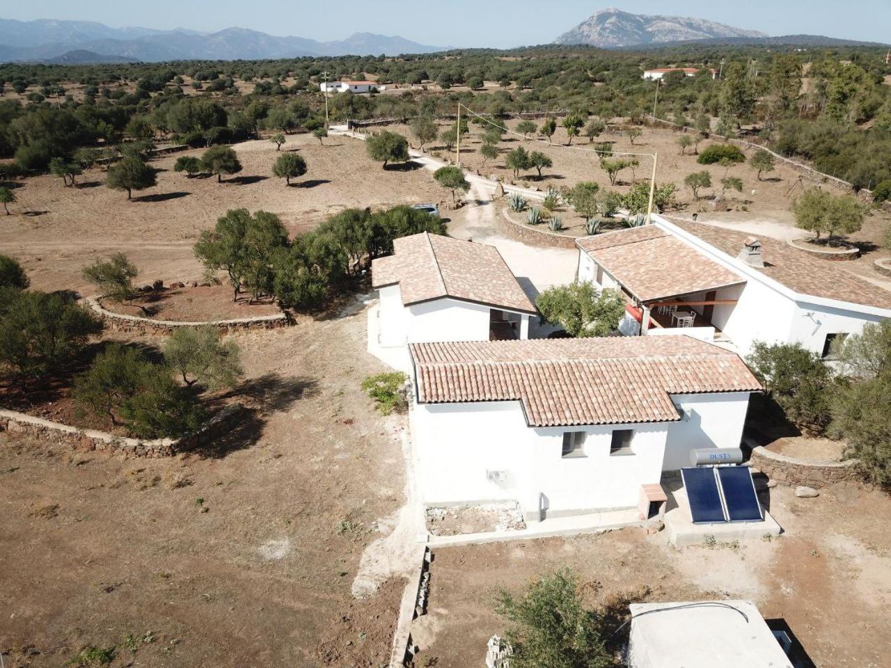 Agriturismo Sa Murta Dorgali Dış mekan fotoğraf