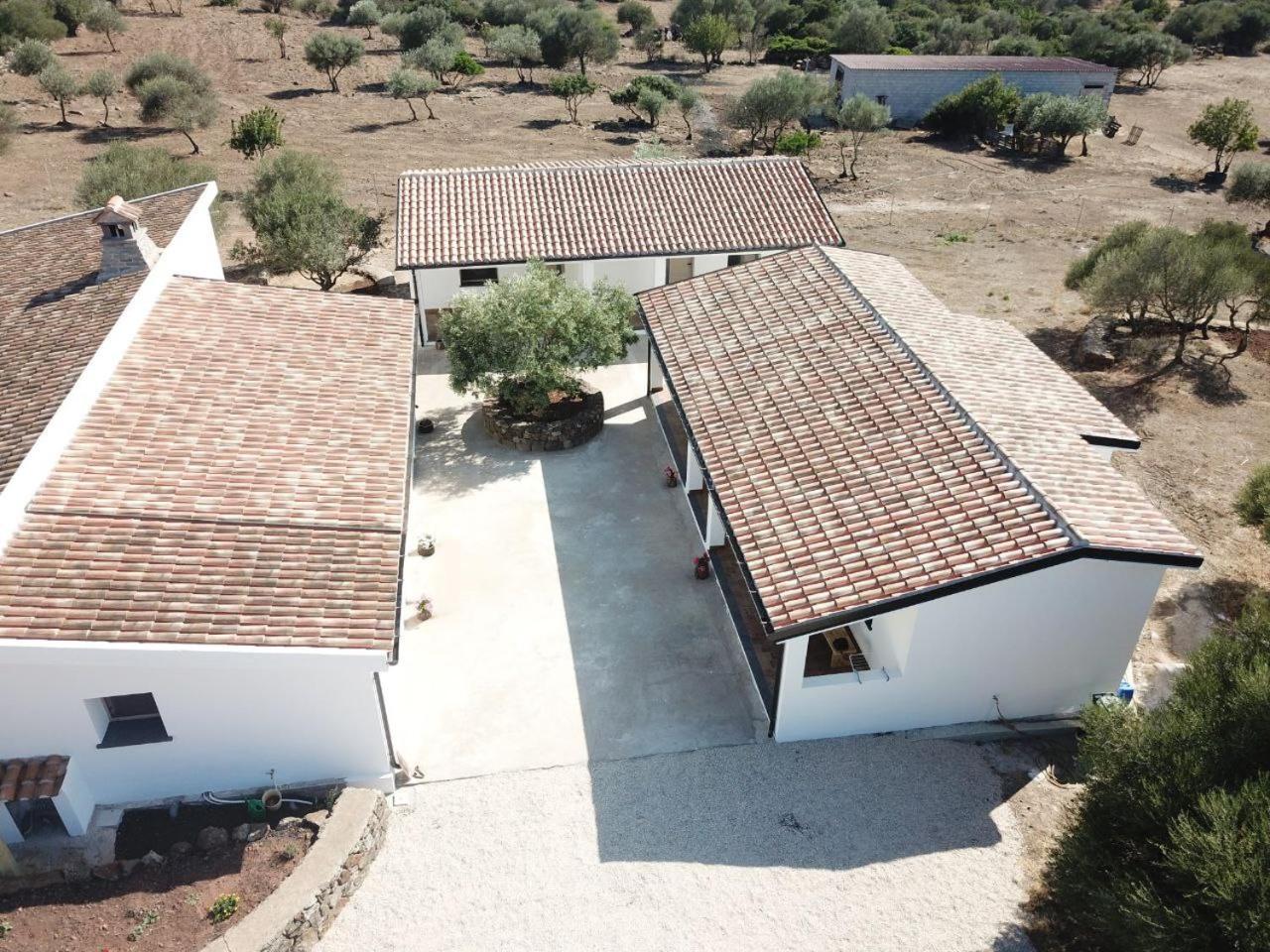 Agriturismo Sa Murta Dorgali Dış mekan fotoğraf