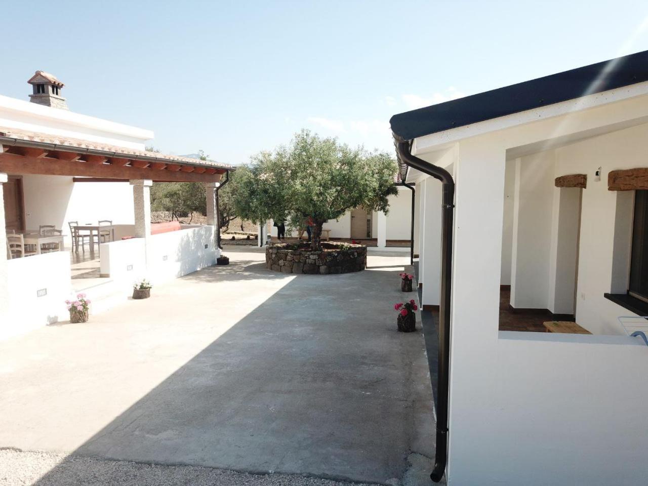Agriturismo Sa Murta Dorgali Dış mekan fotoğraf