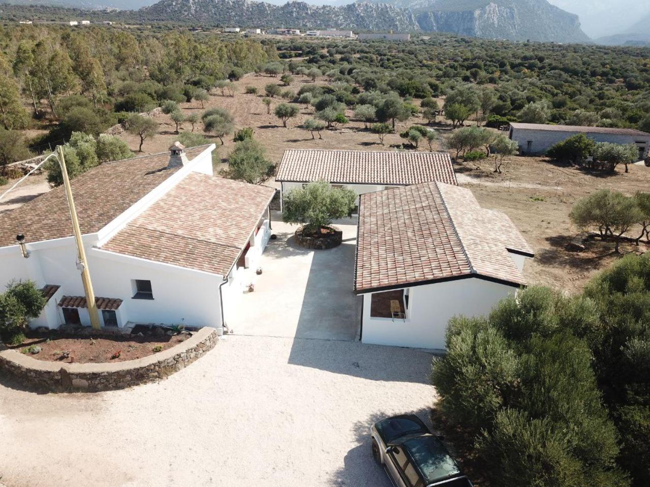 Agriturismo Sa Murta Dorgali Dış mekan fotoğraf