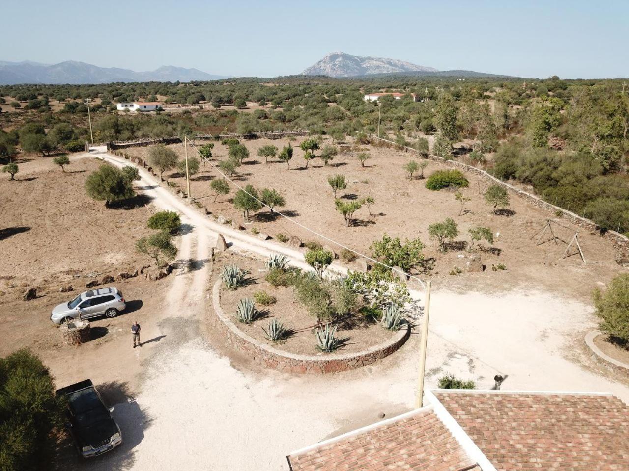 Agriturismo Sa Murta Dorgali Dış mekan fotoğraf