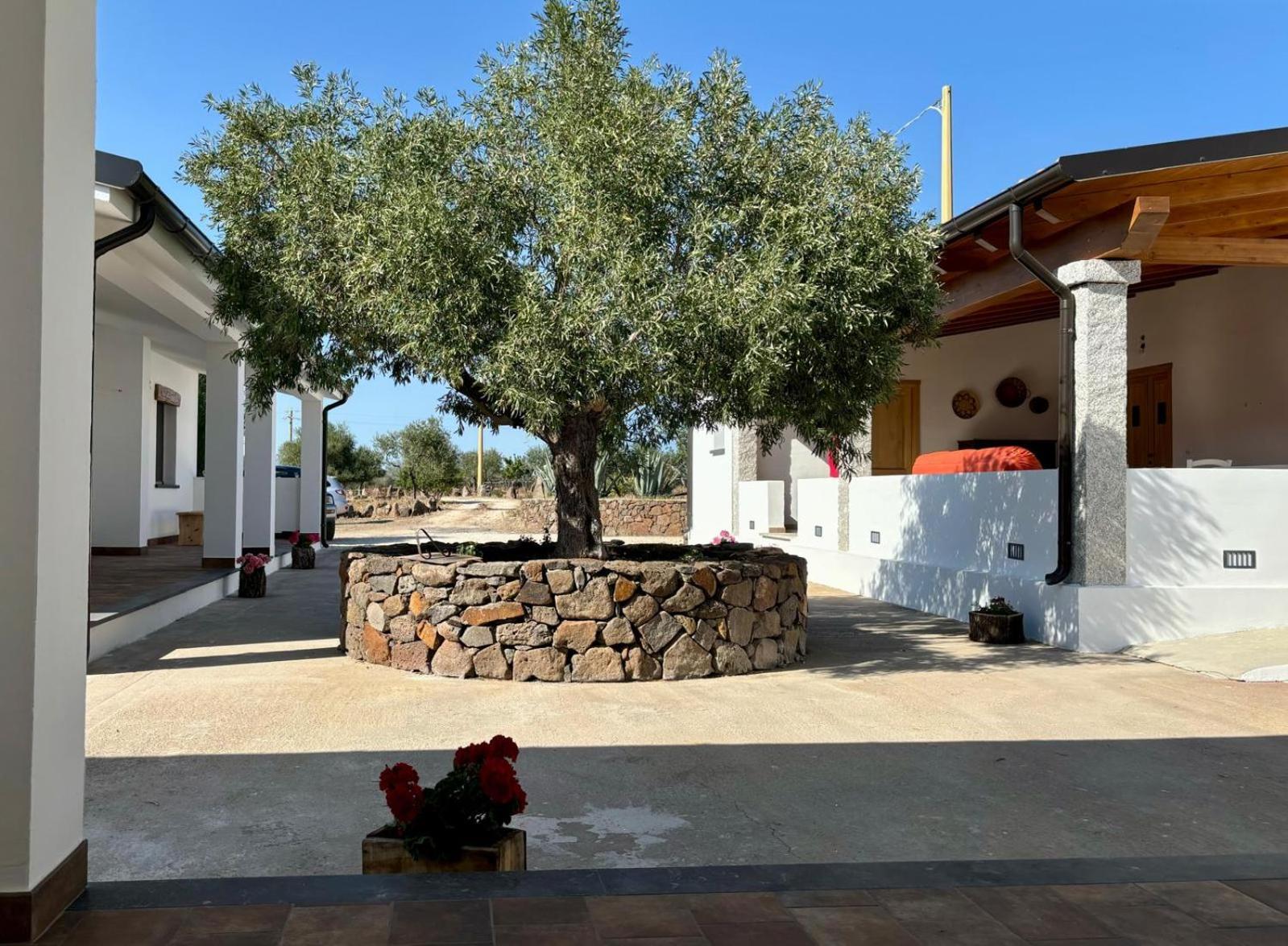 Agriturismo Sa Murta Dorgali Dış mekan fotoğraf