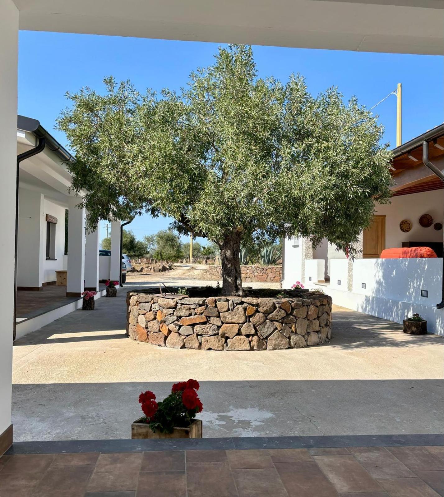 Agriturismo Sa Murta Dorgali Dış mekan fotoğraf