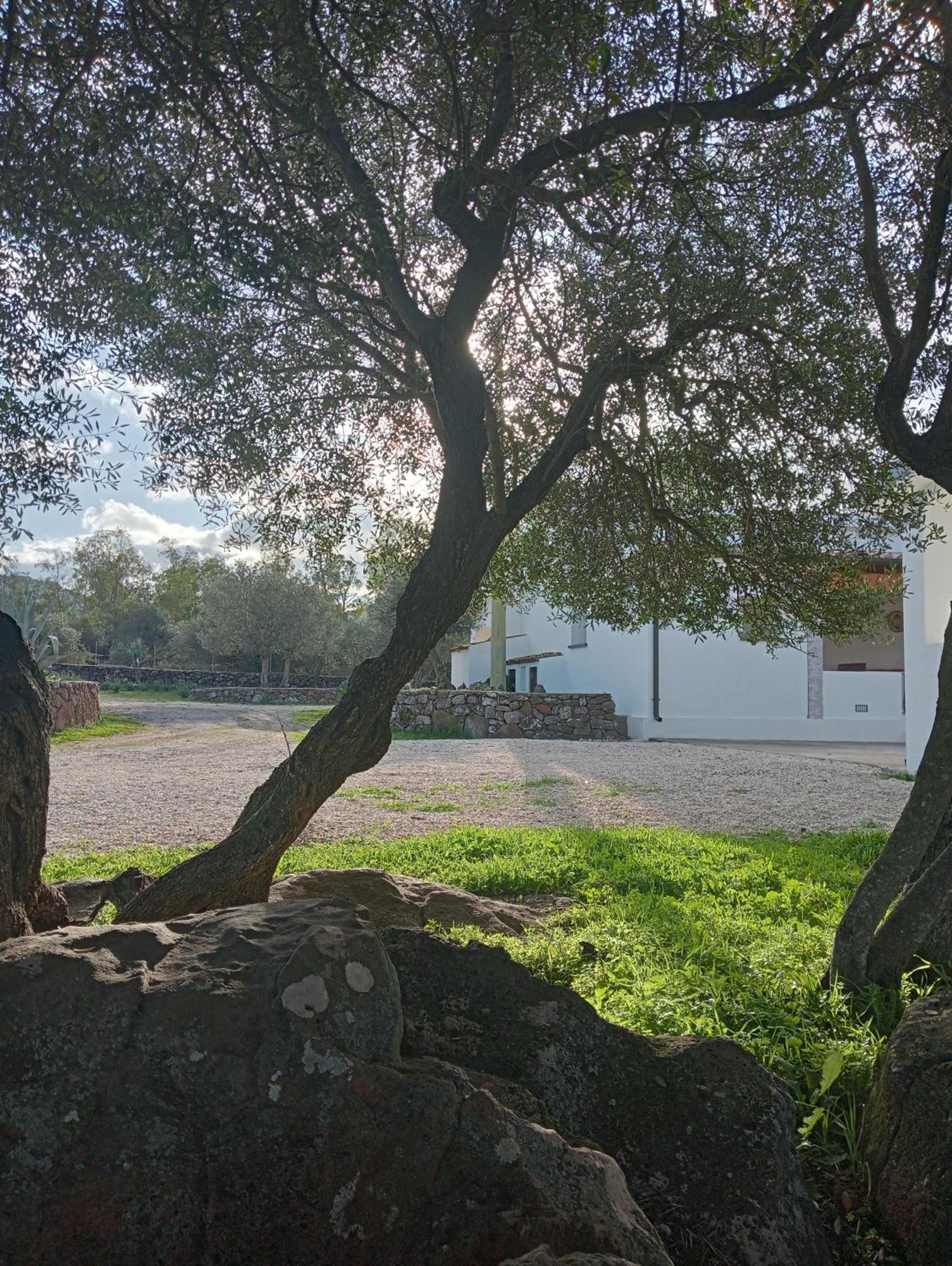 Agriturismo Sa Murta Dorgali Dış mekan fotoğraf