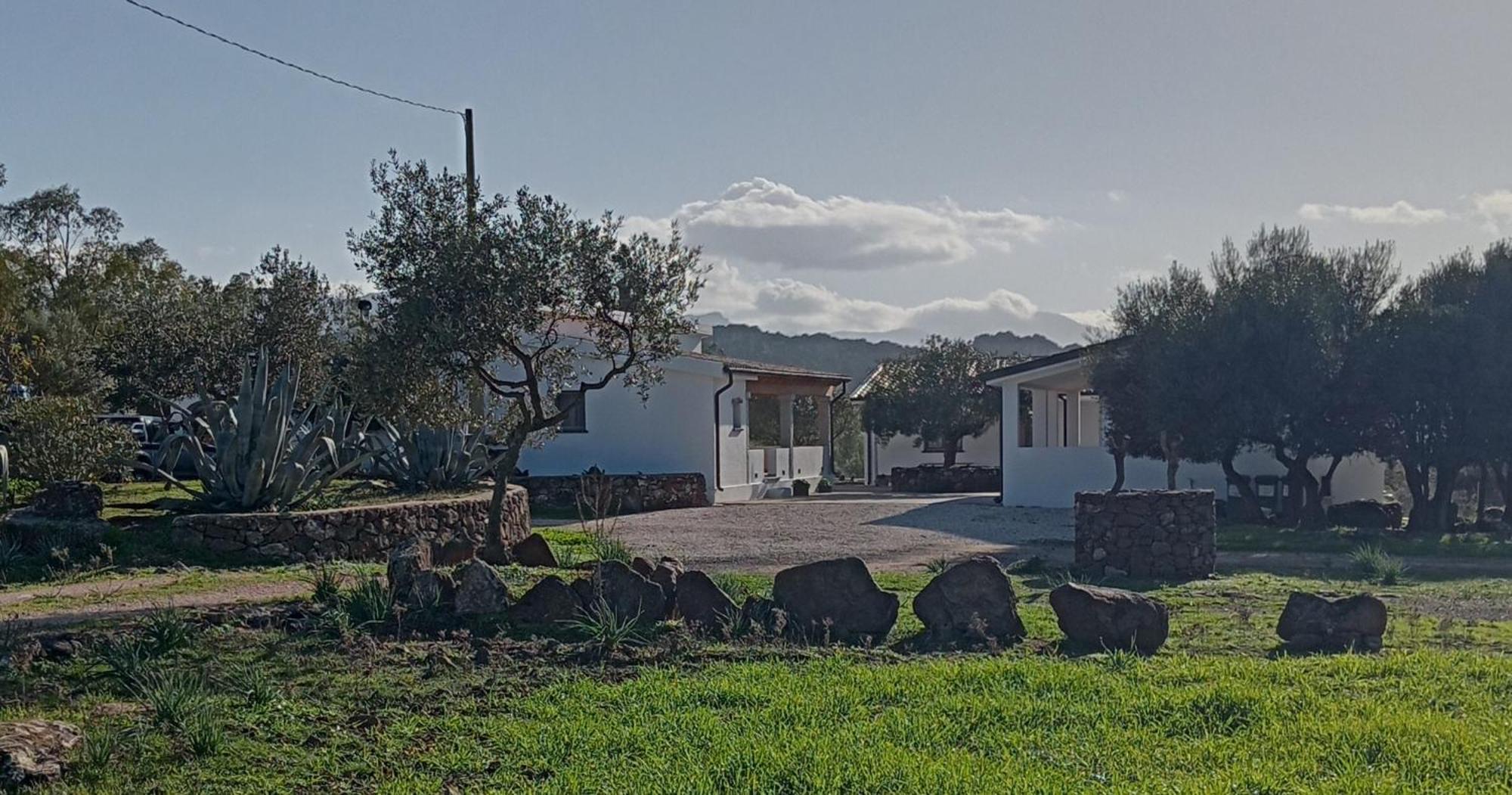 Agriturismo Sa Murta Dorgali Dış mekan fotoğraf