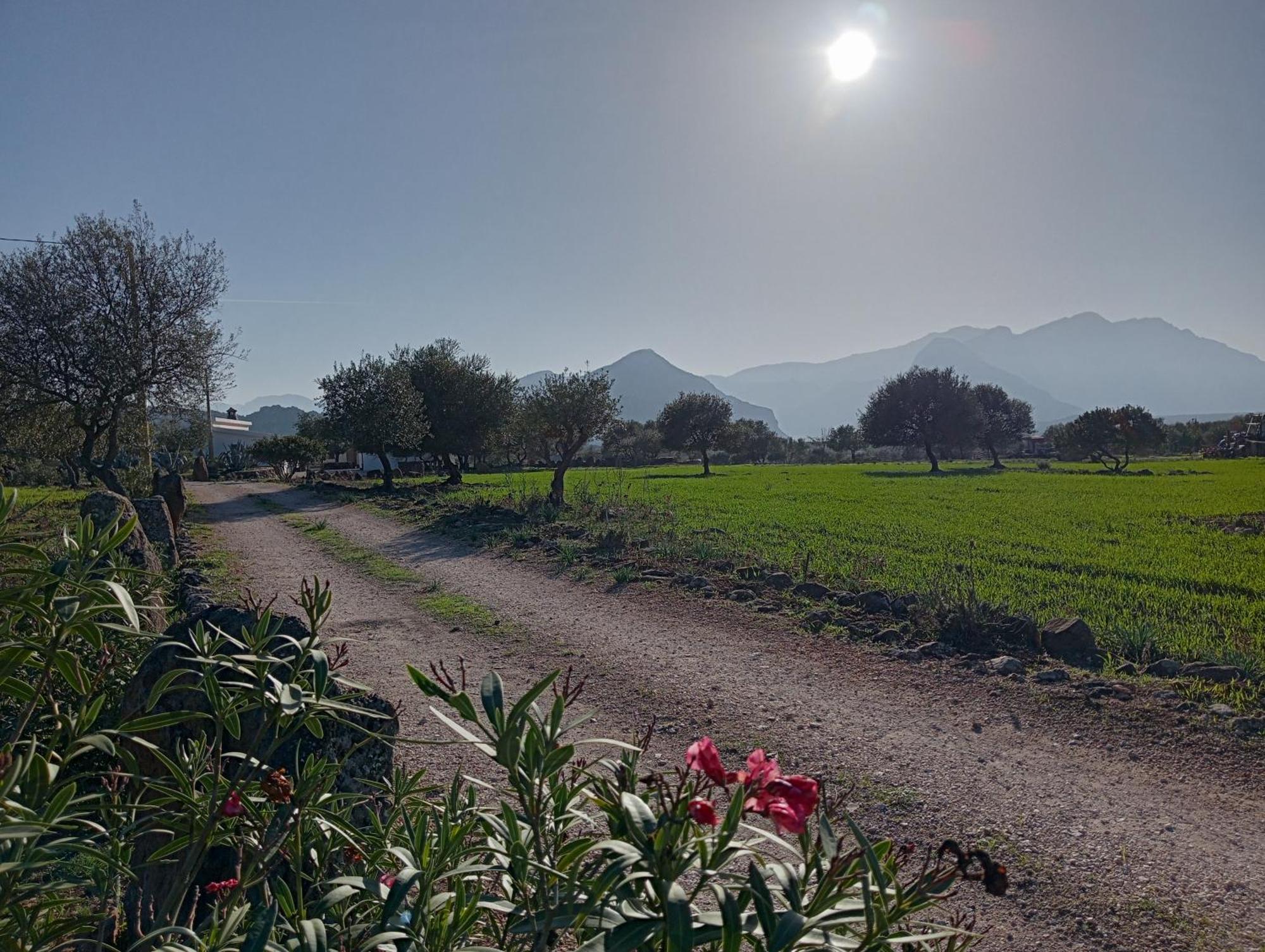 Agriturismo Sa Murta Dorgali Dış mekan fotoğraf