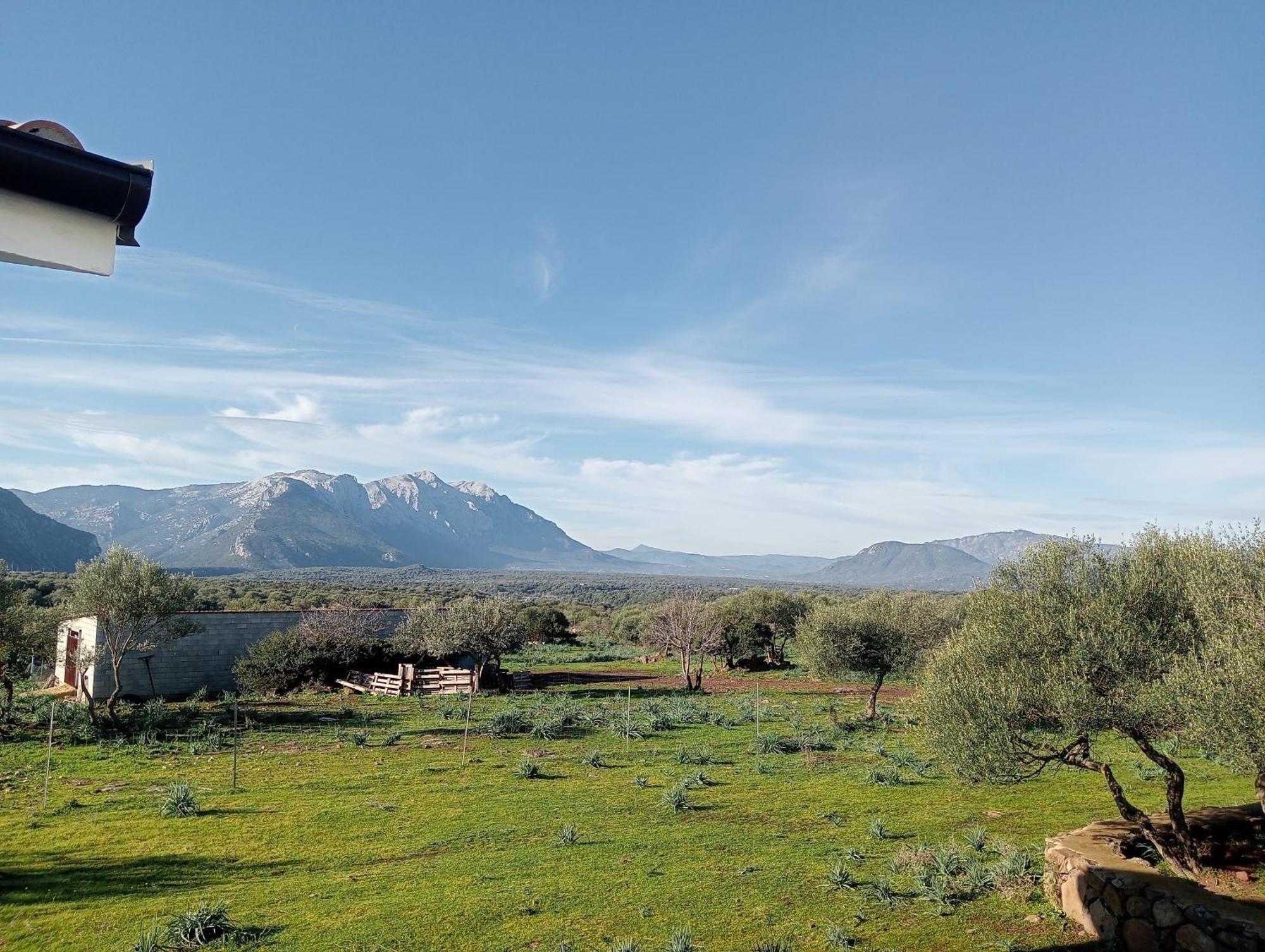 Agriturismo Sa Murta Dorgali Dış mekan fotoğraf