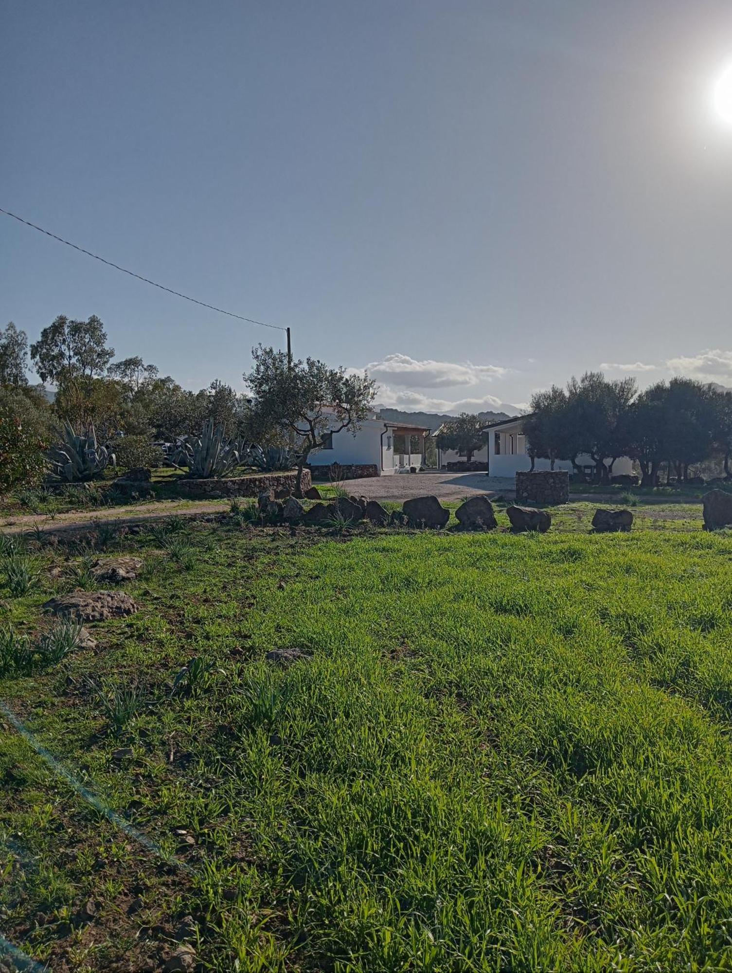 Agriturismo Sa Murta Dorgali Dış mekan fotoğraf